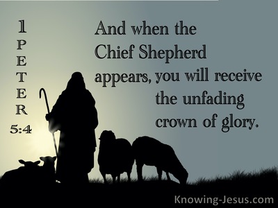 1 Peter 5:4 When The Chief Shepherd Appears (black)